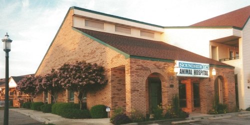 Soundside Animal Hospital in Navarre, FL